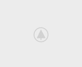 wood Portfolio placeholder wood Portfolio placeholder