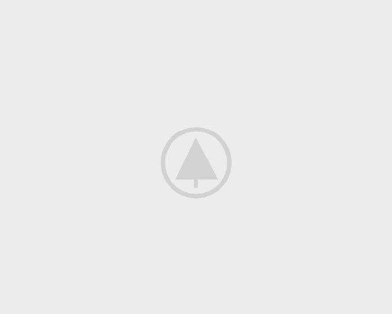 wood Portfolio placeholder wood Portfolio placeholder